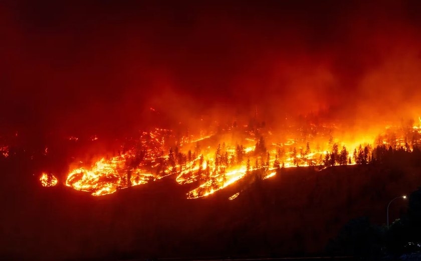 Cerca de 150 mil hectares são queimados em incêndios na Grécia