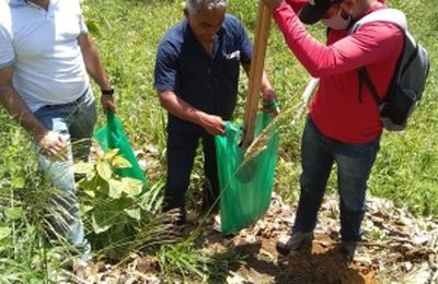 Secretaria Municipal de Agricultura e Emater, realizam identificação de solo em Branquinha
