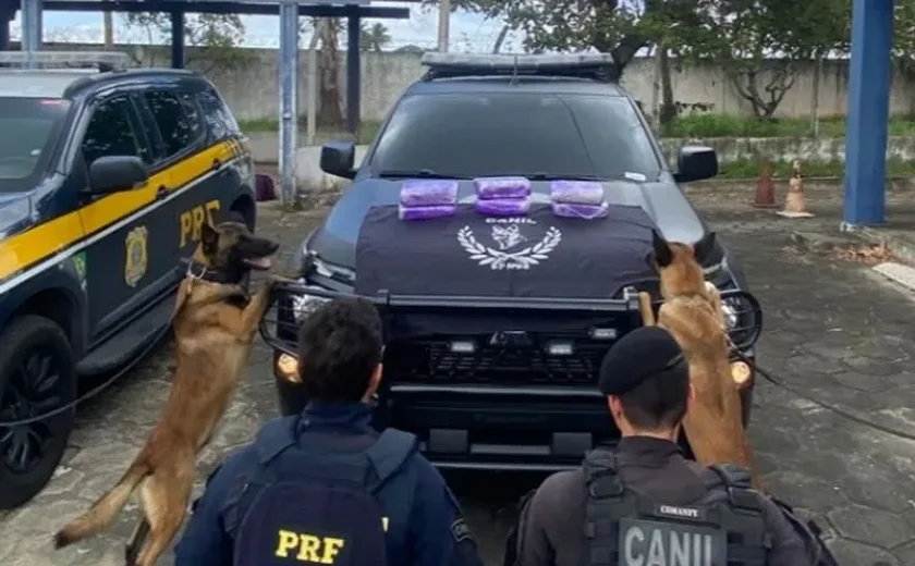Polícia apreende drogas, celulares e armas em ações no Agreste de Alagoas