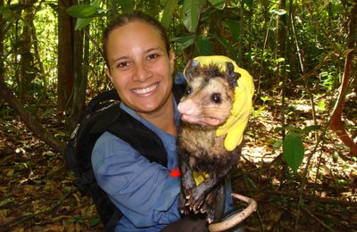 Dia do Biólogo: profissionais atuam em diversos setores dentro do MHN