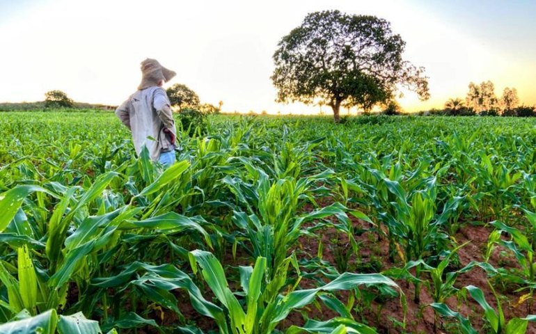Governador encaminha à ALE projetos de lei que beneficiam a agricultura familiar no estado