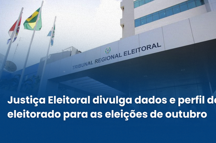 Justiça Eleitoral divulga dados e perfil do eleitorado para as eleições de outubro