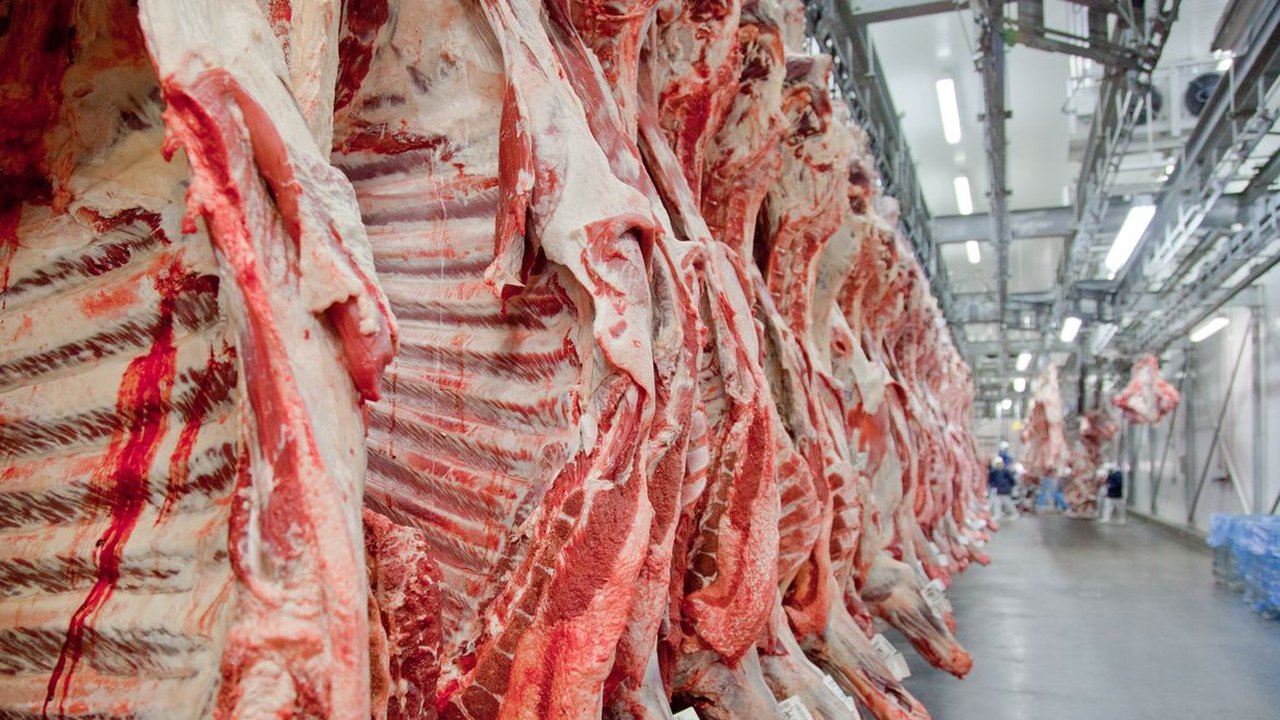 Exportação de carne bovina bate recorde em mês anterior ao tarifaço