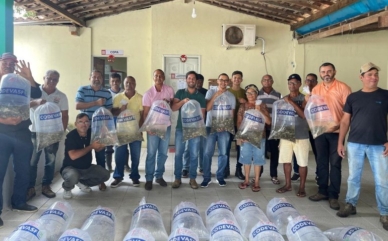 Parceria distribui 50 mil alevinos em Penedo, sem custo para produtores de pequeno porte
