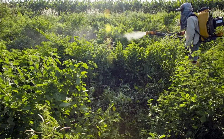 Partidos e entidades sindicais vão ao STF contra Lei dos Agrotóxicos