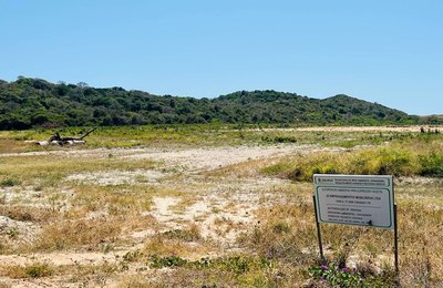 Ceará concentra 76% do desmatamento de restinga na Mata Atlântica e expõe fragilidade na proteção do bioma