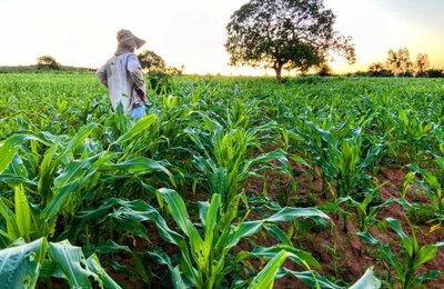 Ministro da Agricultura vem a Alagoas para o lançamento do projeto Recomeços, aquicultura para ressocialização