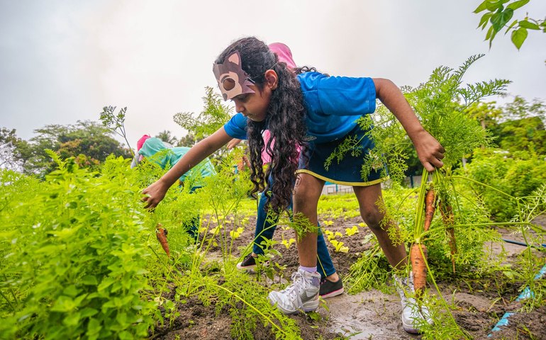 Escola de Campo recebe estudantes com atividades lúdicas em alusão ao Dia do Folclore