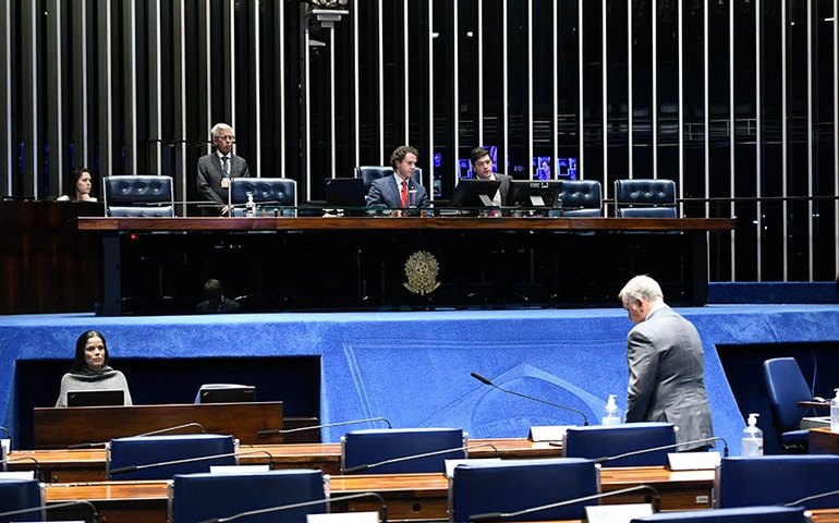 Senado aprova criação de política nacional para setor de flores e plantas ornamentais