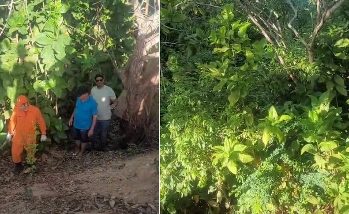 Área de mata em que bombeiros realizaram buscas e encontraram o corpo da vítima