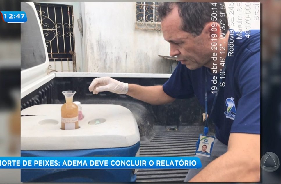 Adema morte peixes