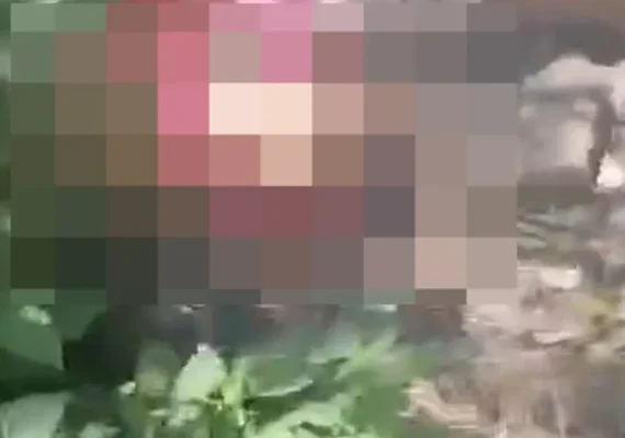 Mulher é Encontrada Morta a Tiros em Área de Mata em Maceió