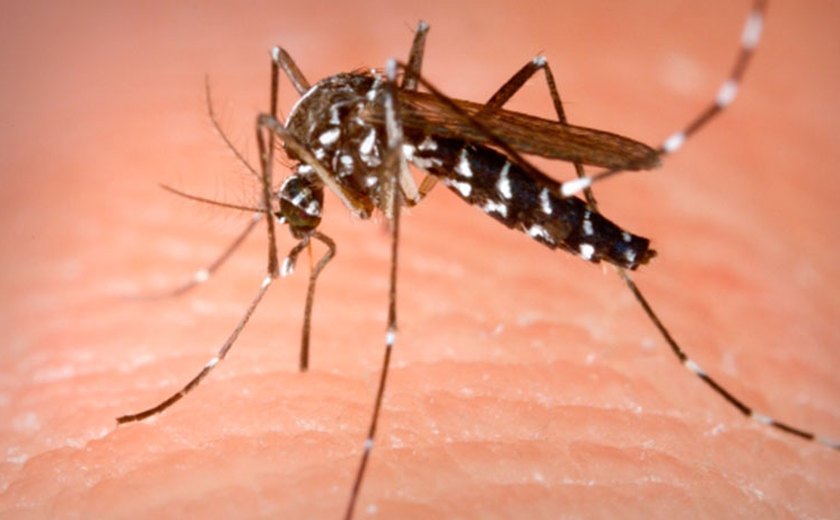 Comercialização da primeira vacina contra a dengue é aprovada no Brasil