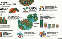 Censo 2022: Indígenas dobram no Brasil e viram urbanos