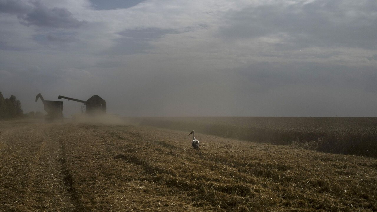 Entrada da Ucrânia na UE representa ameaça para agricultura polonesa, diz presidente do país