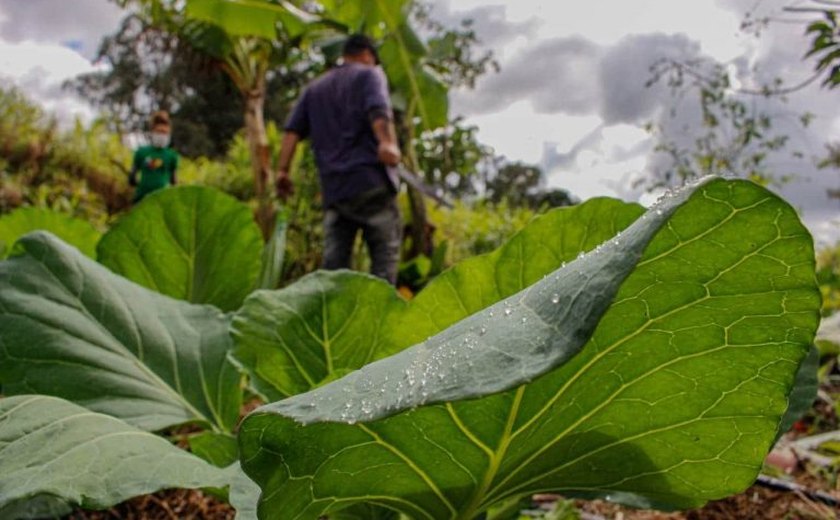 Comissão debate situação da extensão rural no Brasil