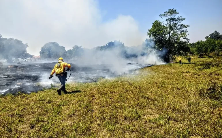 Crise do clima pode derrubar renda global em 19% até 2050; Brasil é um dos mais afetados