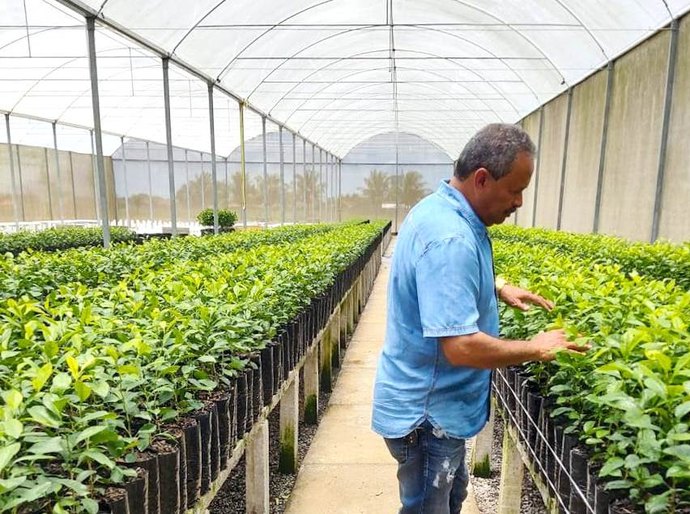 Primeiro viveiro registrado de Alagoas aumenta produtividade em 50% com apoio do Banco do Nordeste