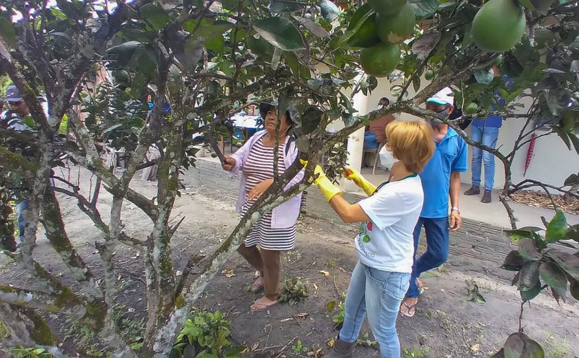 Emater realiza oficina com práticas agroecológicas para o controle da mosca negra dos citros