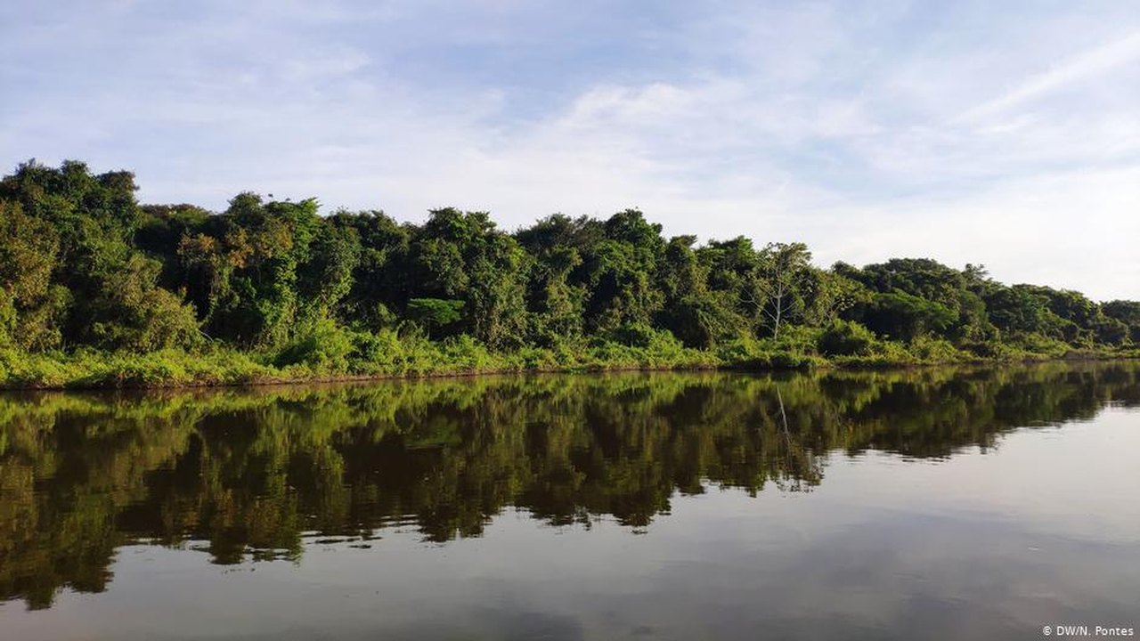 Terras indígenas e protegidas são as que menos emitem carbono na Amazônia