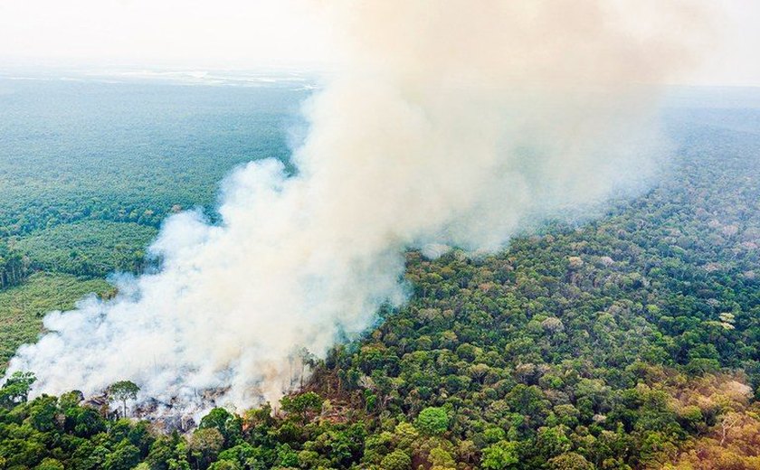 Medida provisória destina R$ 514,5 milhões para combate às queimadas na Amazônia