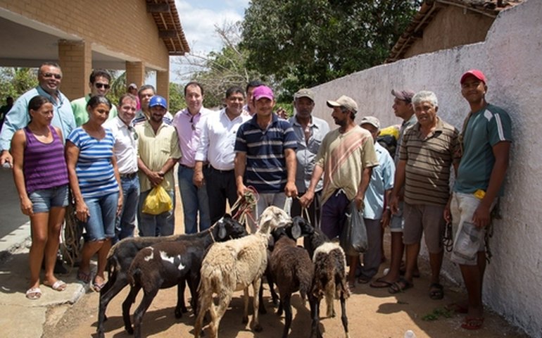 Câmara Setorial da Ovinocaprinocultura discute ações para 2014