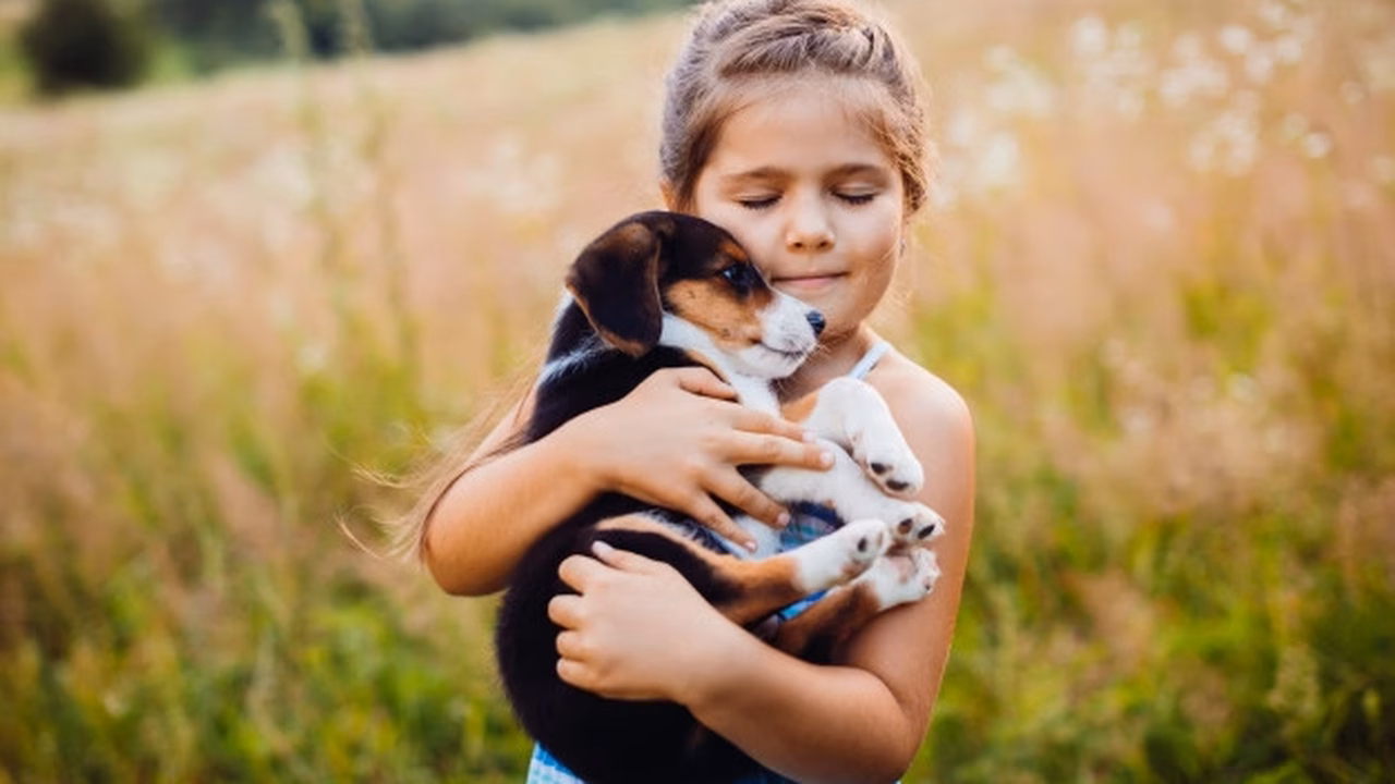 China terá quase o dobro do número de pets em relação ao de crianças pequenas até 2030, diz estudo