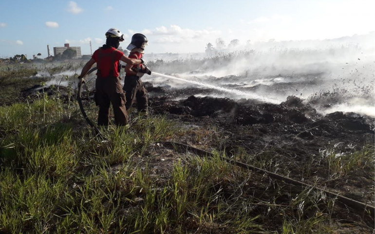 Bombeiros combatem incêndio em vegetação de Palmeira dos Índios