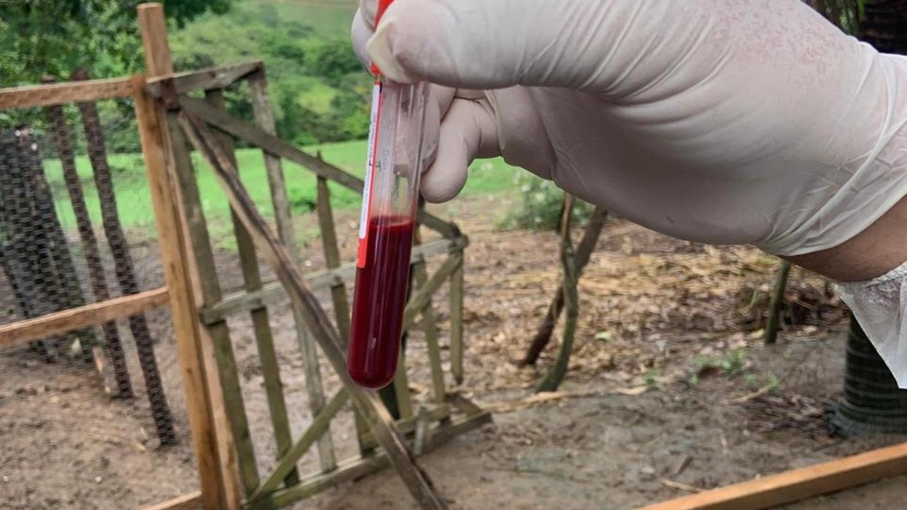 Adeal coleta amostras de aves para análise do Ministério da Agricultura