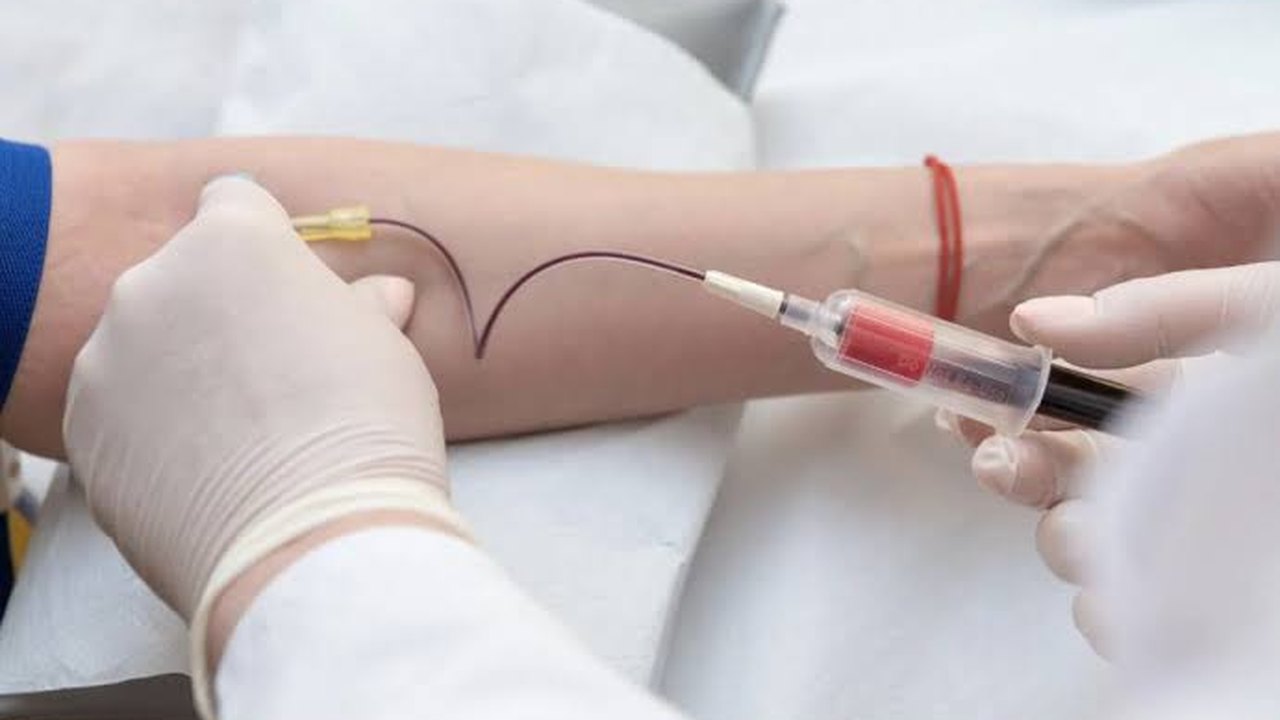 Novo exame de sangue detecta câncer de pâncreas em estágio inicial em 87% dos casos, diz estudo da Nature