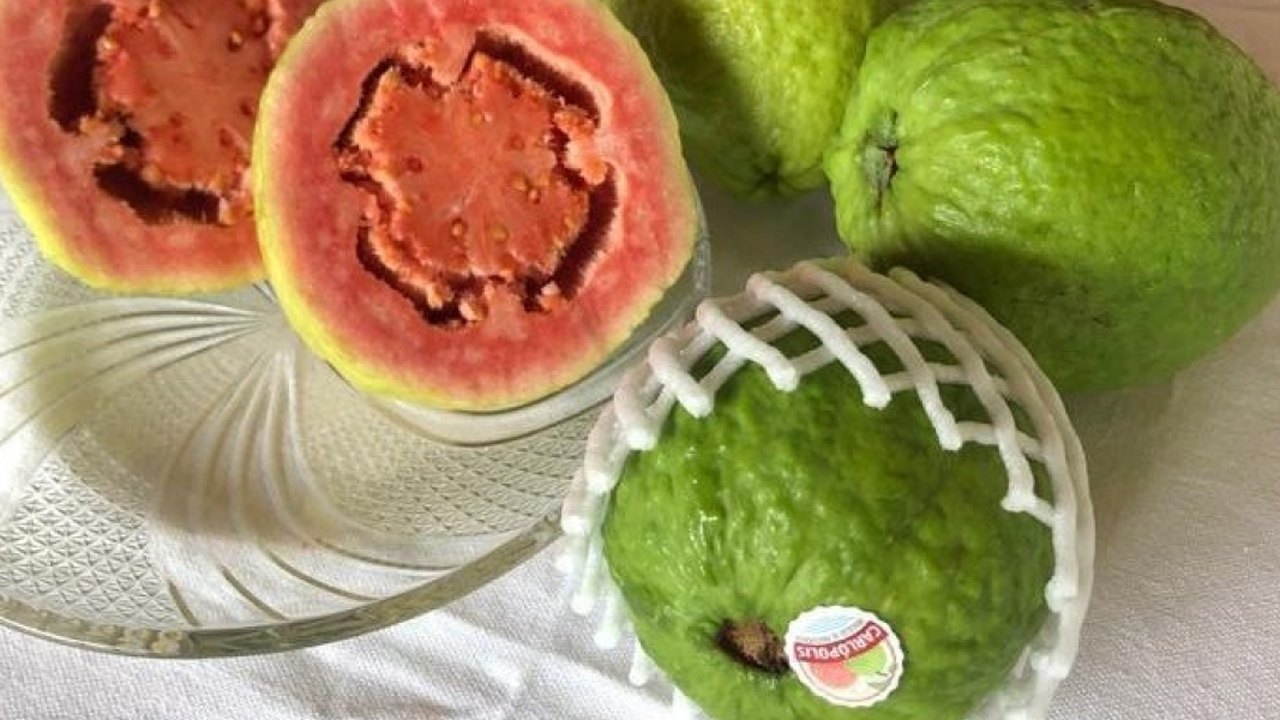 Suco de goiaba pode ajudar no combate à anemia em mulheres, aponta estudo