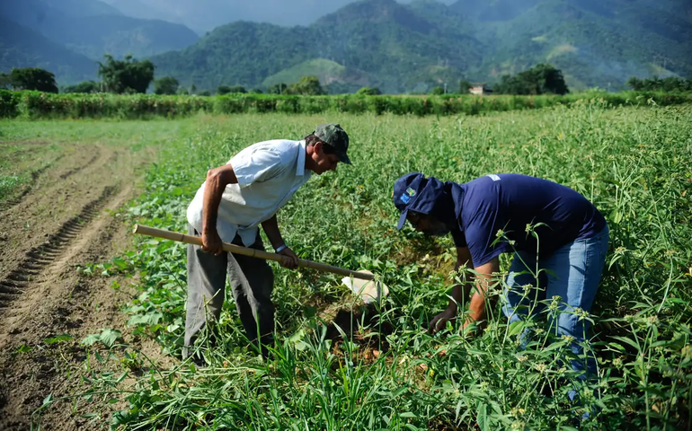 Agricultura familiar: Ministério lança programas de fomento em Mato Grosso