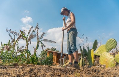 Mulheres agricultoras de Penedo são orientadas sobre o Programa de Fomento às Atividades Produtivas Rurais