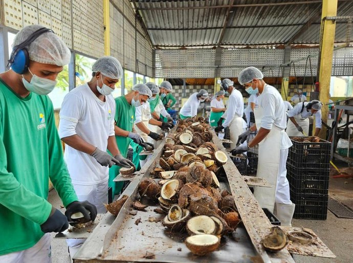 Edital prioriza cooperativas tradicionais para abastecer escolas indígenas e quilombolas