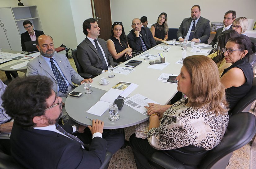 TJ e parceiros discutem fluxograma da Câmara de Conciliação em Saúde