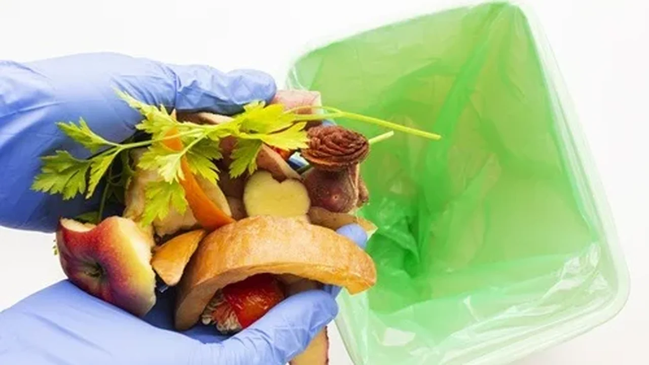 Fome e desperdício de alimentos acendem alerta para a saúde e a sustentabilidade
