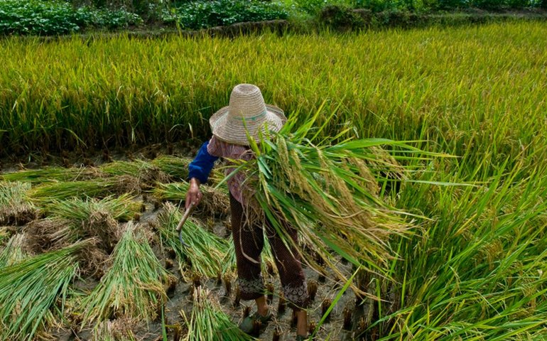Trabalho escravo: homem resgatado relata condições degradantes