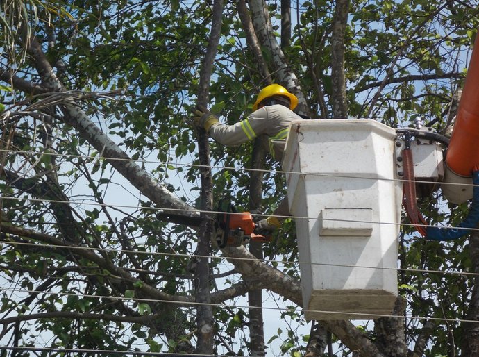 Eletrobras realiza manutenção na rede eletríca de cidades do Litoral Norte