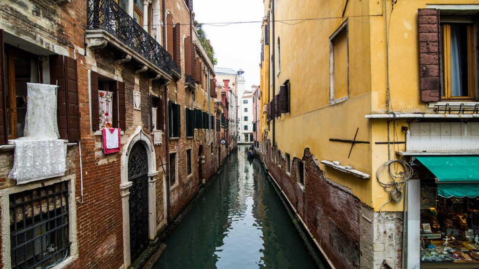 19ª Bienal de Arquitetura de Veneza busca soluções para urgências climáticas