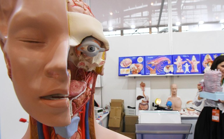 Mulheres têm mais dificuldade para evoluir do que homens, diz biólogo evolucionário