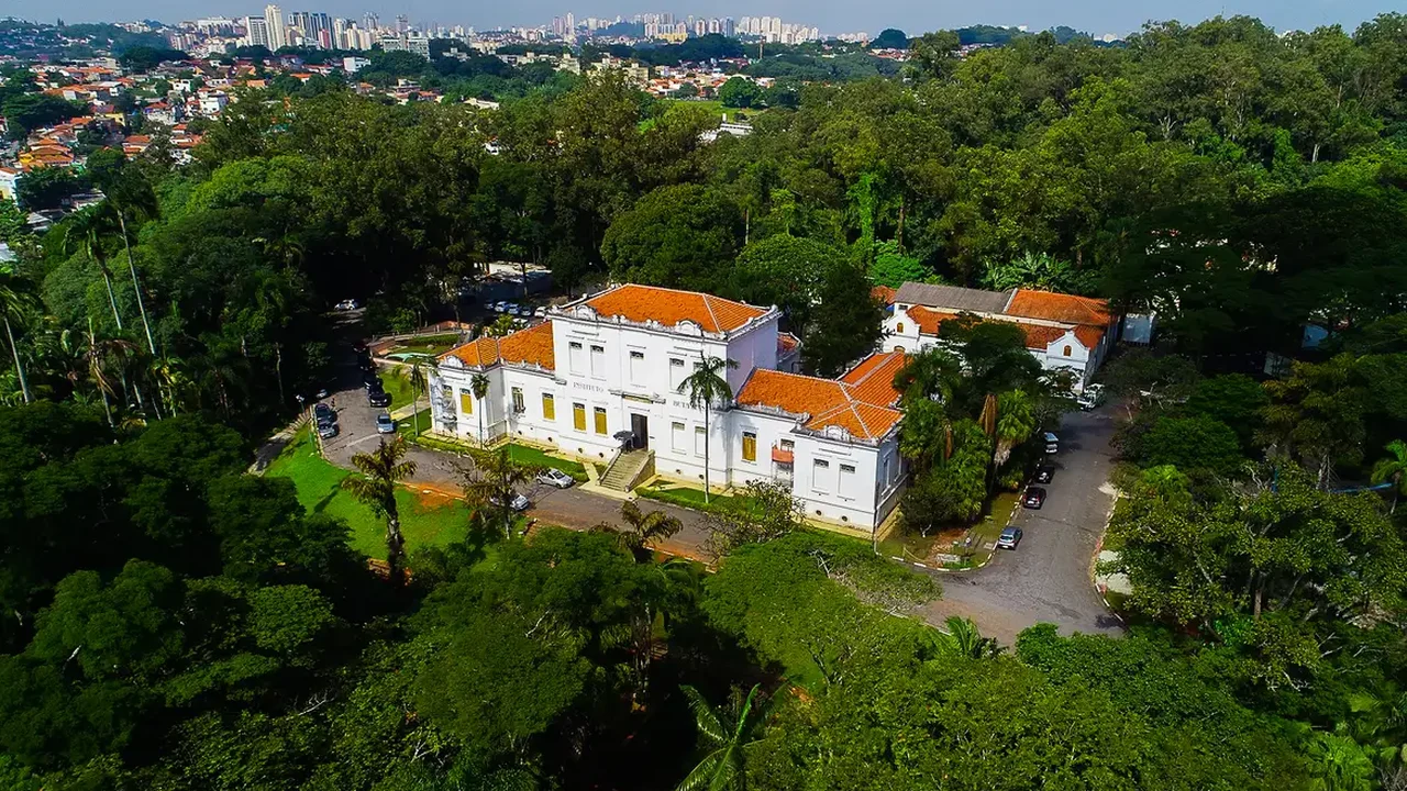 'Confio plenamente nessa vacina, é a melhor ferramenta que temos para enfrentar da dengue no Brasil', diz diretor do Instituto Butantan
