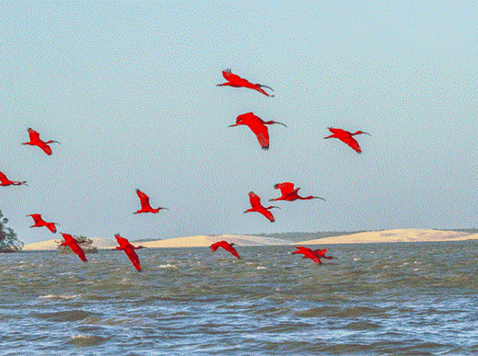 As belezas do litoral do Piauí e do Delta do Parnaíba