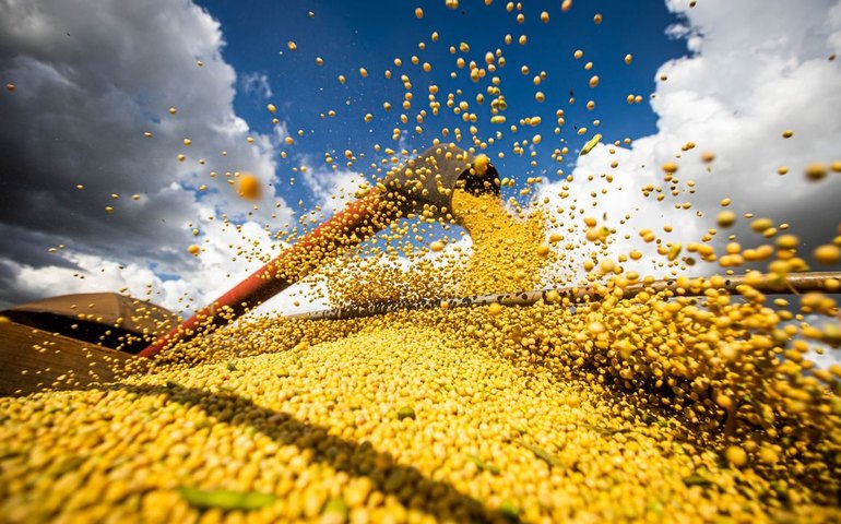 Alagoas tem crescimento na produção de grãos estimado em 120,9%, o maior do país