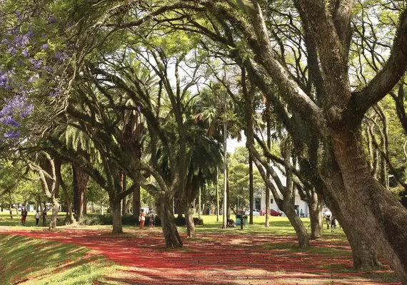 Engenheiro é morto durante assalto em residência na região do Parque Ibirapuera