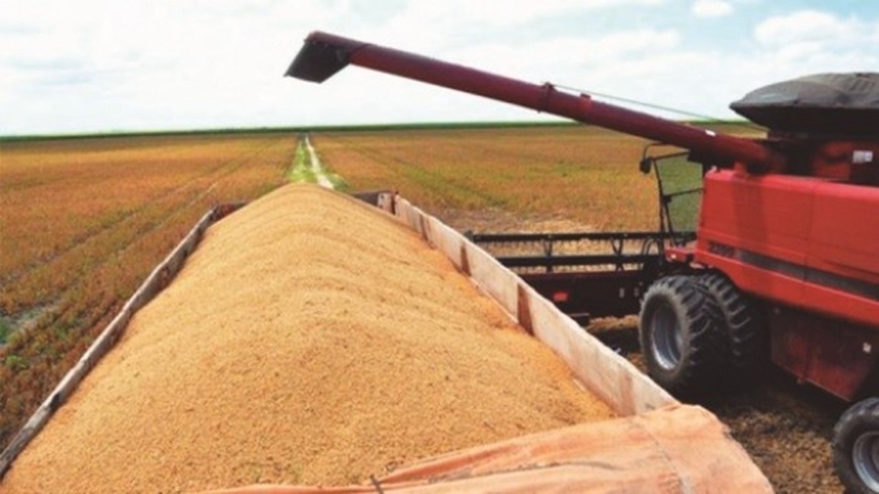 Conab: 1ª estimativa para safra 2021/22 indica recorde de 288,61 milhões de t