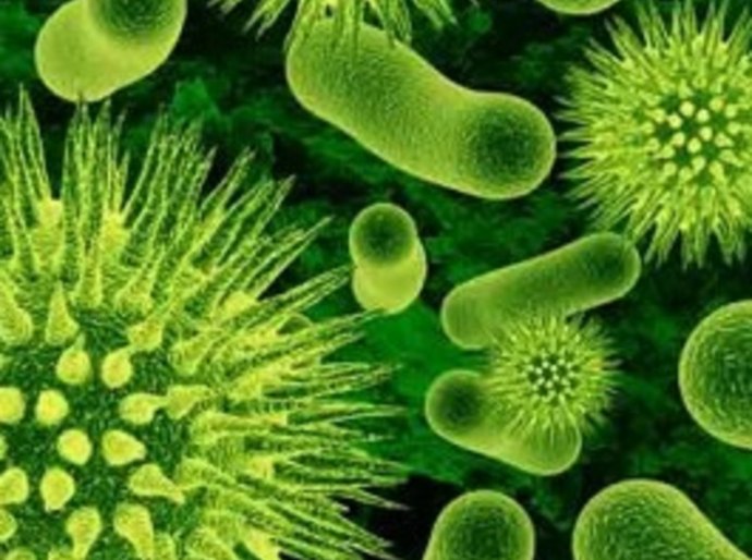 Santa Casa faz alerta à sociedade no Dia Mundial de Combate à Sepse