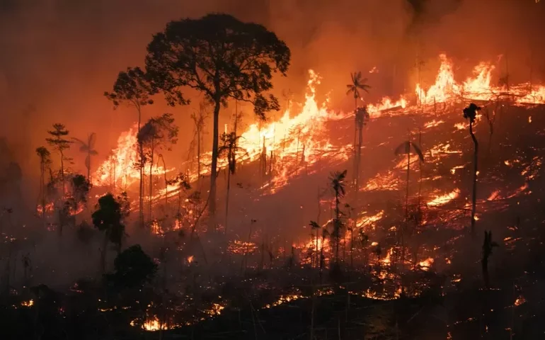 80 unidades de conservação ambiental são fechadas por risco de incêndio em SP