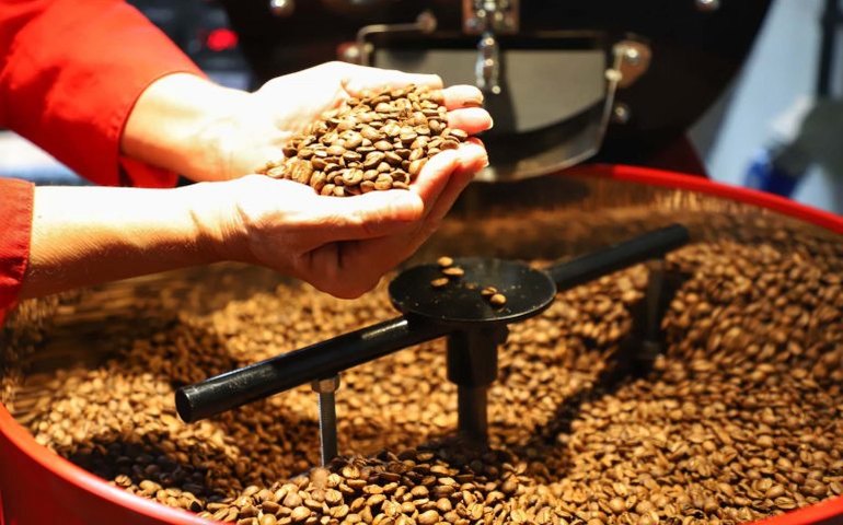 Com tarifaço, café do Brasil corre risco de perder espaço nos EUA