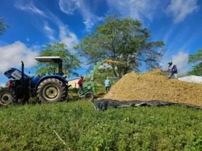 Prefeitura de Santana do Ipanema lança Programa Municipal de Produção de Silagem