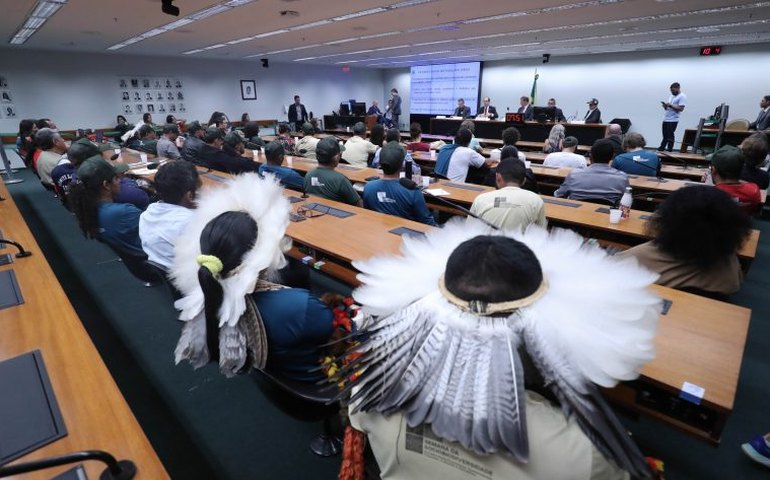 Especialistas defendem legislação trabalhista para populações tradicionais na sociobioeconomia